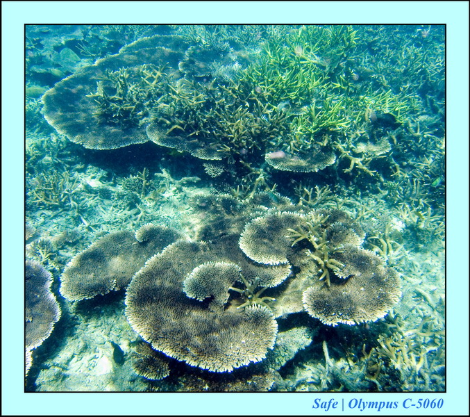 2008 - 07 - Leng Tengah - 060